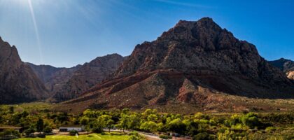 Battling Spring Allergies in Las Vegas