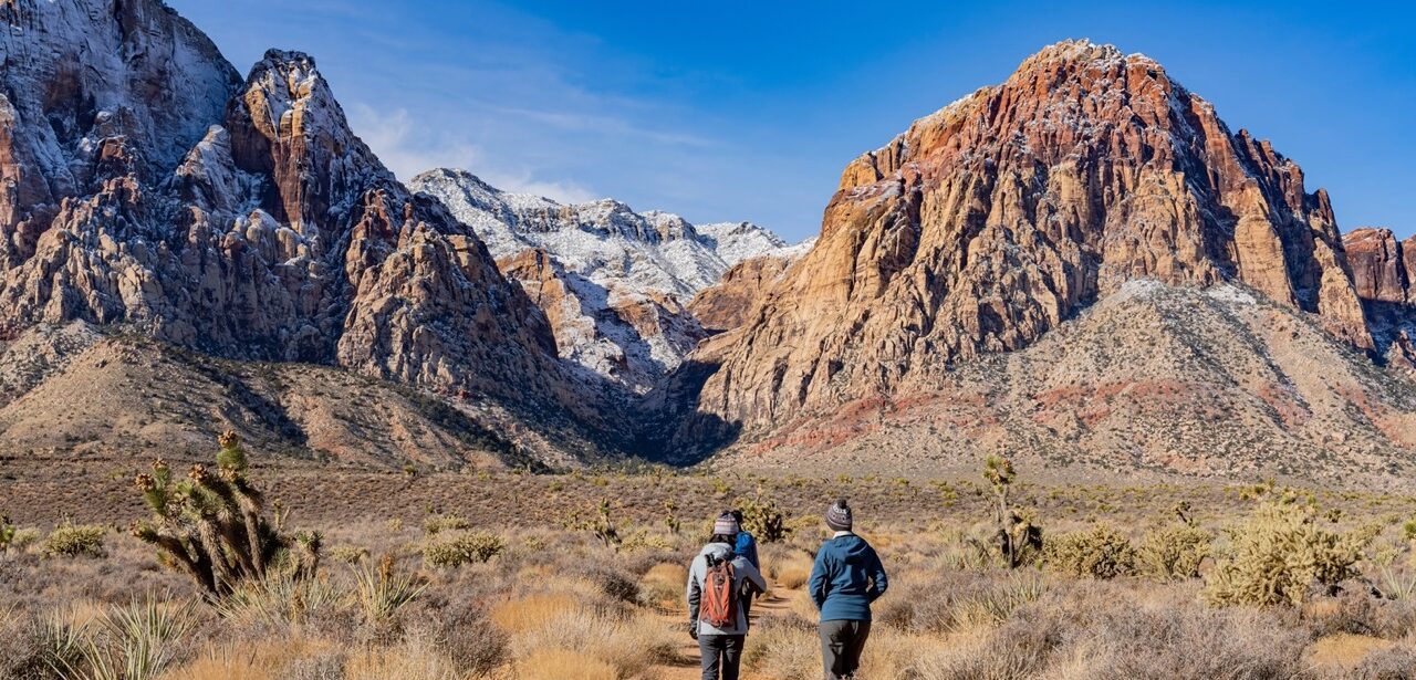 Southern Nevada Allergy Season Guide